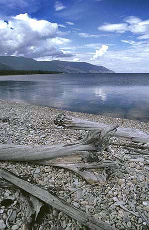 Baikal shore