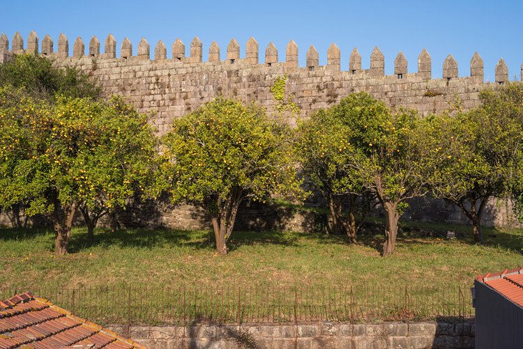 Orange trees in front of city wall