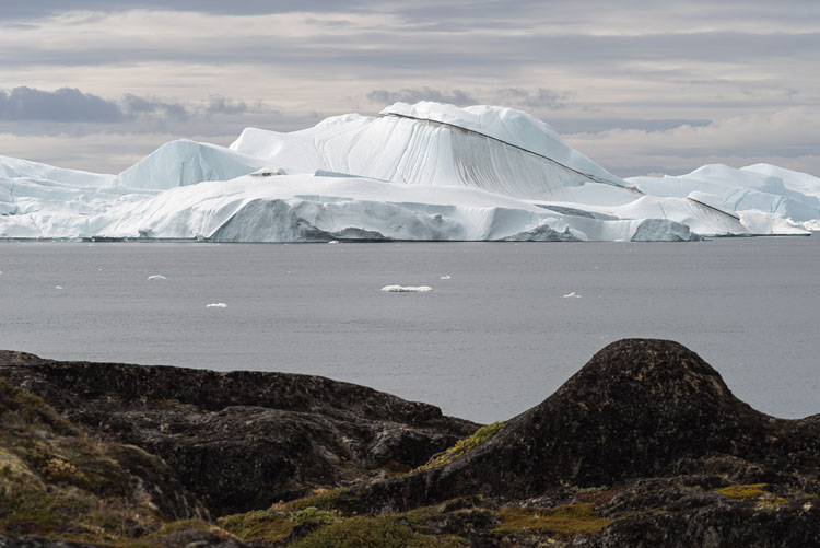 Icebergs in Imilik bight