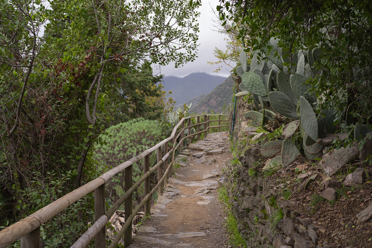 Coastal Trail