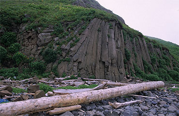 Basaltic columns