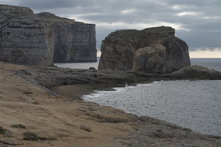 Fungus Rock